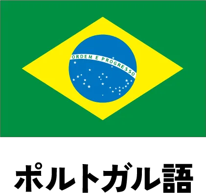 Brazilian Flag