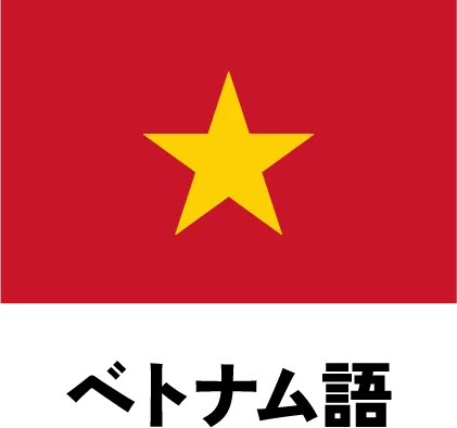 Vietnamese Flag